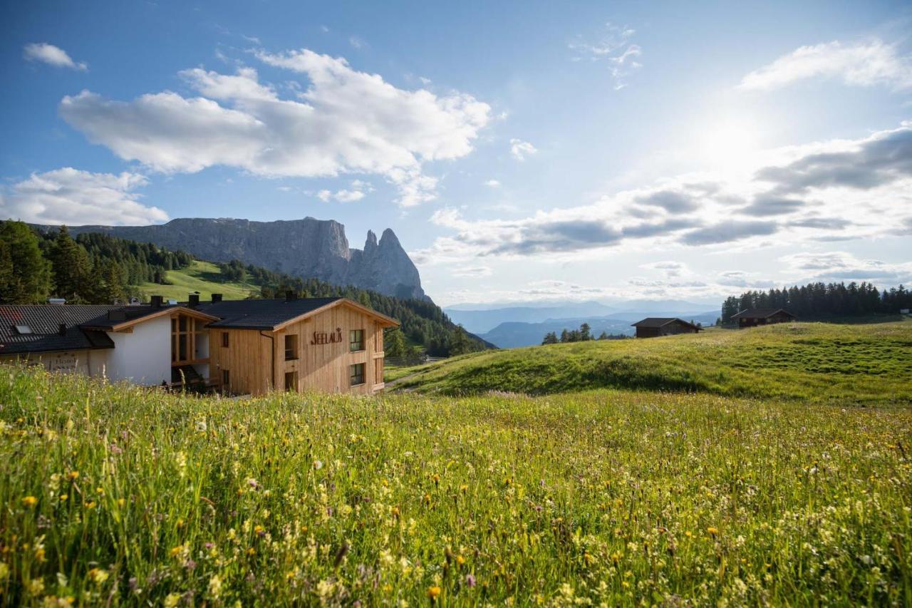 Seelaus Seiser Alm